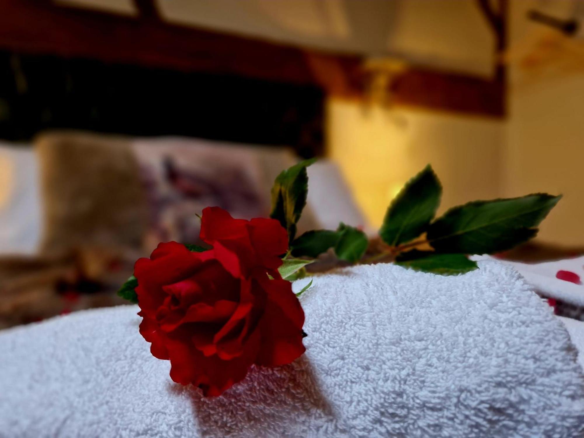 The Hamilton - The Studio Luxury Holiday Let'S Scorton  Екстер'єр фото